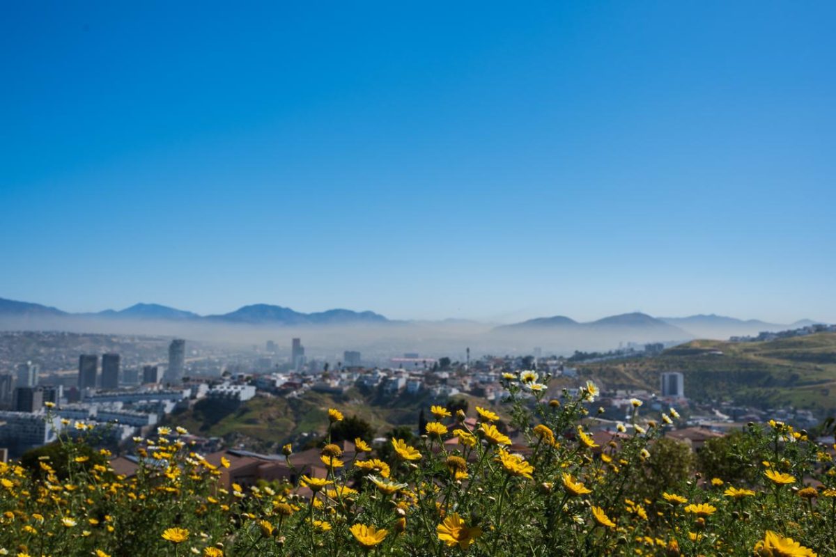 Primavera inicia con clima cálido y perspectivas favorables en la ciudad