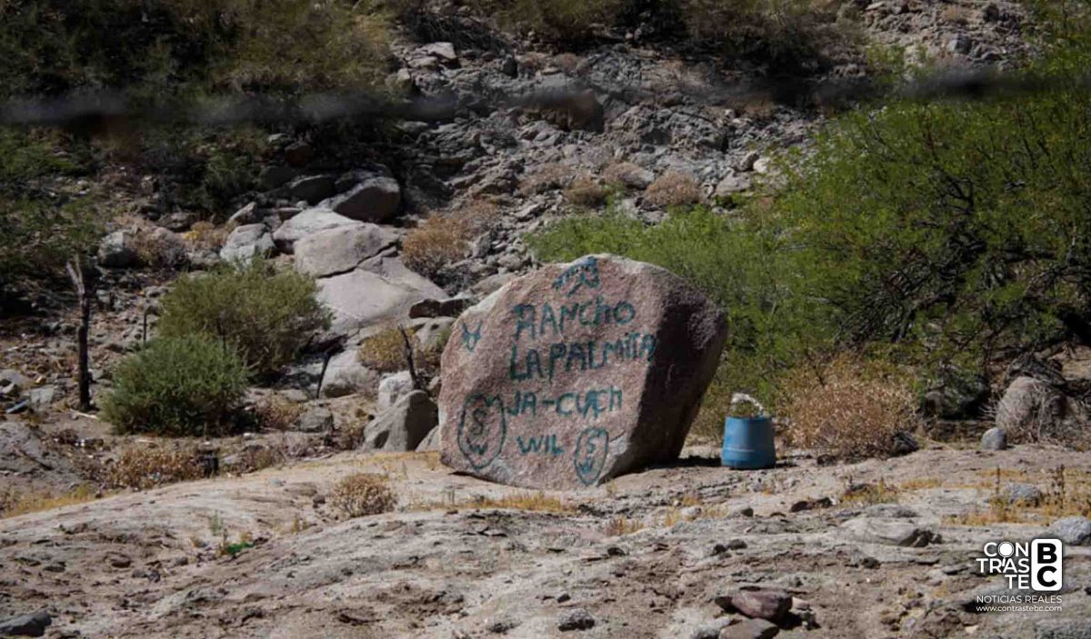 Desmantelan narcolaboratorio en zona montañosa de Mexicali con capacidad de hasta 3 mil kilos