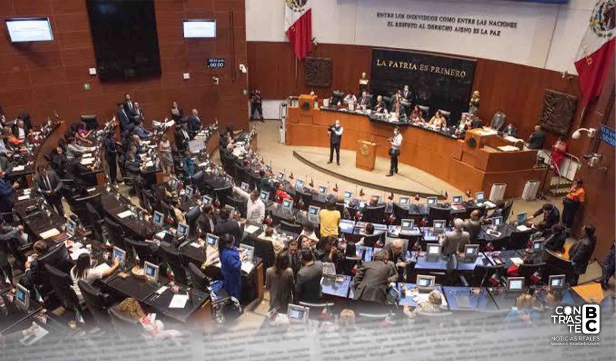 Senado aprobó en lo general el Plan B electoral