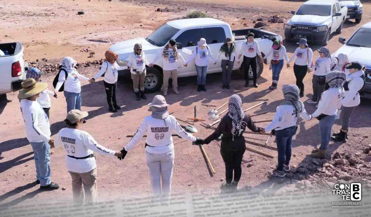 Encuentran 16 osamentas en Guaymas, Sonora, en menos de una semana