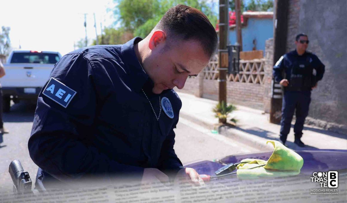 AEI detuvo a 97 personas en Tijuana por su presunta relación con robo de vehículos