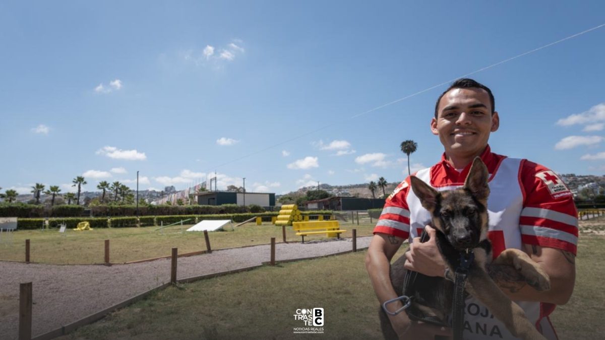 México será sede de la Feria Mundial Canina ACW en 2027