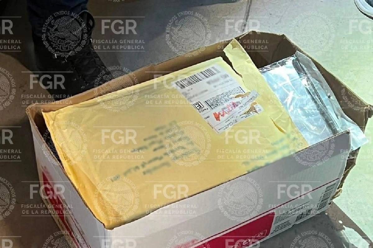FGR asegura documentos en bodegas vinculadas a investigación de huachicol fiscal que involucra a Ernesto Ruffo