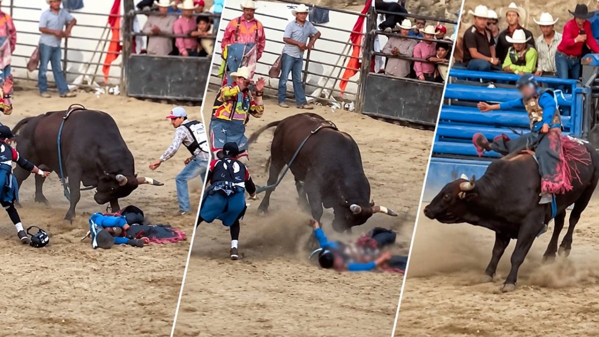 Joven resulta gravemente herido tras ser derribado por toro en rodeo de Rosarito