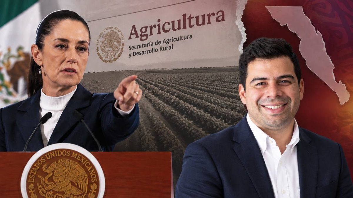 Sheinbaum pide renuncia a subsecretario de Agricultura por conflicto de intereses con su hijo